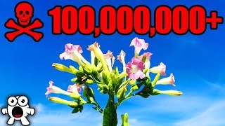 Top 10 Most Dangerous Plants in the World [upl. by Eniar]