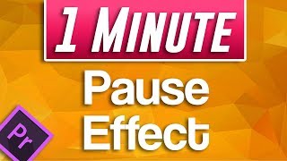 How to do Pause Effect in Premiere Pro [upl. by Esteban]