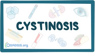 Cystinosis  causes symptoms diagnosis treatment pathology [upl. by Fritze]