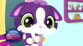 Littlest Pet Shop  Meow Manor [upl. by Crudden294]