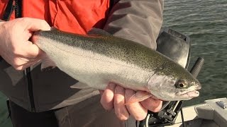 Basic Techniques for Trout Fishing in Washington [upl. by Karlene]