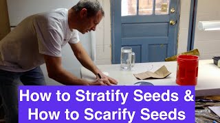 How to Stratify and Scarify Seeds [upl. by Tollmann]