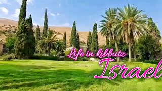 Life in Kibbutz Israel [upl. by Sterner831]