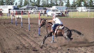 Pole Bending McHenry County Saddle Club [upl. by Elicia288]