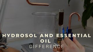 Hydrosol vs Essential oil  Beginners guide  distillation at home [upl. by Middlesworth150]