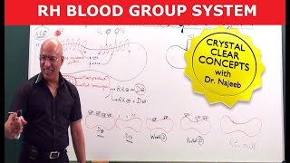 Rh Blood Group System  Dr Najeeb [upl. by Durnan383]