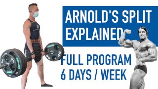 ARNOLD SPLIT  Full Program Explained  Better Than Push Pull Legs [upl. by Amorita]