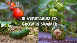 15 Vegetables amp Herbs You MUST Grow in SUMMER [upl. by Anuait762]