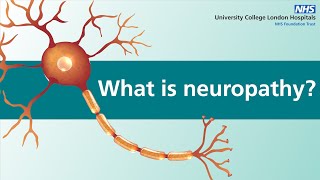 Diabetic neuropathy explained [upl. by Mercuri286]