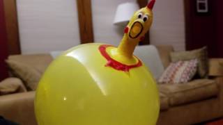 Rubber Chicken Strikes Back [upl. by Gora]