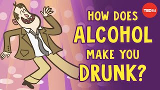 How does alcohol make you drunk  Judy Grisel [upl. by Ruamaj]