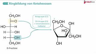 Ringbildung von AldohexosenKetohexosen [upl. by Lessur]