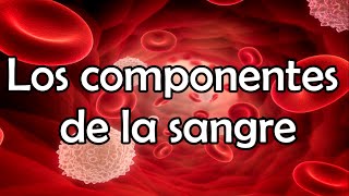 Los componentes de la sangre [upl. by Nylacaj371]