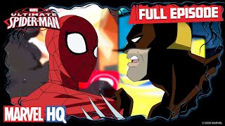 Freaky  Ultimate SpiderMan S1 E10  Full Episode [upl. by Kelila]