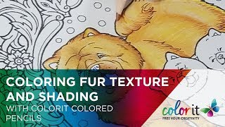 Coloring Dogs Fur With Colored Pencils Tutorial [upl. by Laden870]