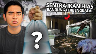 SENTRA IKAN HIAS BANDUNG TERBENGKALAI KONDISINYA JADI BEGINI [upl. by Doughty682]