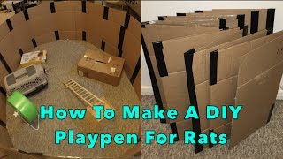 How To Make A DIY Cardboard Playpen For Rats Foldable [upl. by Madalena]