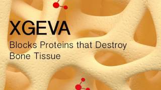 How Xgeva  Denosumab  Treats Bone Metastases [upl. by Nyladnor]