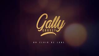 Gally  Au claire de lune Official Audio [upl. by Euqinorev]