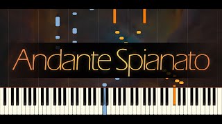 Andante Spianato in G major Op 22  CHOPIN [upl. by Okihcas]