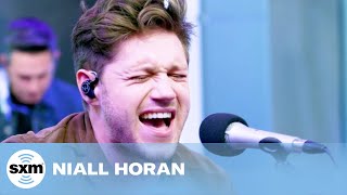 Niall Horan  quotSlow Handsquot LIVE  SiriusXM Studios [upl. by Eliak]