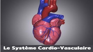 Le système cardiovasculaire [upl. by Nytsirc]