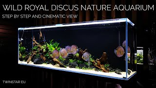 Wild ROYAL Discus Nature Aquarium of 200x60x70cm at Twinstar EU [upl. by Dhiman]