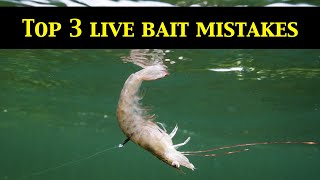 Top 3 LIVE BAIT RIGGING MISTAKES Underwater Evidence [upl. by Garcon536]