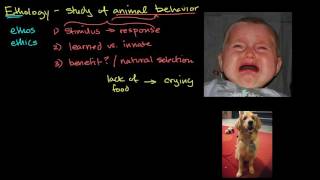 Ethology and animal behavior [upl. by Jolanta]