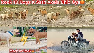 Rock Ko Mack Se Milvane Le Gye🔥Rock 10 Dogs K Sath Akela Bhid Gya😰Panga Hogya Yamuna Nadhi Par🐶 [upl. by Betteann]