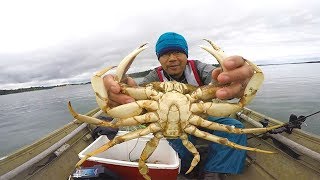 Catching Dungeness Crab on the Oregon Coast [upl. by Anavas699]