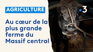 Au cœur de la plus grande ferme du Massif central [upl. by Vic]