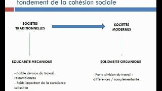 Sur quoi repose la cohésion sociale [upl. by Anitahs210]