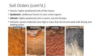 Soil Classification and Survey [upl. by Gisella]