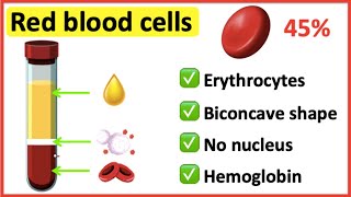 Red blood cells  What do red blood cells do [upl. by Esiahc]