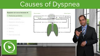 Causes of Dyspnea – Pulmonary Pathology  Lecturio [upl. by Adiesirb]