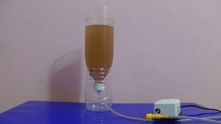 How to Hatch Brine Shrimp Eggs [upl. by Aisena]