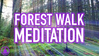 Guided Forest Walk Meditation  Calming and Relaxing Mindfulness Activity [upl. by Reddin]