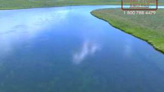 Fly Fishing Harriman State Park  Henrys Fork River Idaho [upl. by Ahsikin860]