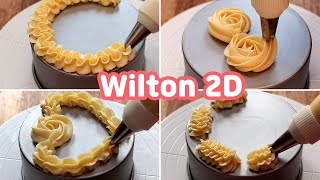 Wilton 2D nozzle Piping Tutorial  25 Cake border design Ideas  Cake decorating [upl. by Marisa]