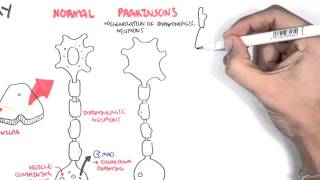 Pharmacology  Parkinsons Disease [upl. by Daisey]