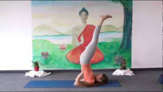 Beginners Yoga Class 20 Minutes [upl. by Hoffmann318]