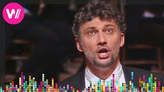 Jonas Kaufmann Franz Lehár  Dein ist mein ganzes Herz  Opernball 2017 [upl. by Dorwin]