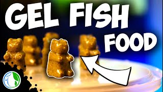 DIY GEL FISH FOOD  HOMEMADE REPASHY GUMMY BEAR FISH FOOD [upl. by Lertnahs]