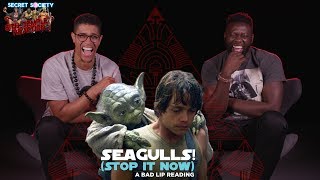 SEAGULLS Stop It Now Reaction [upl. by Man]