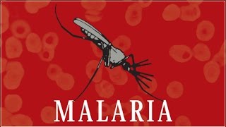 Malaria [upl. by Chaney]