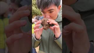 Truffle Hunting in Australia [upl. by Alverson949]