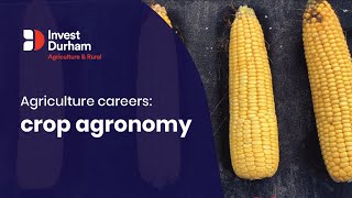 Agriculture Careers Crop Agronomy [upl. by Dolley925]