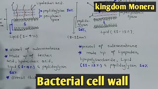 Bacteria cell wall Structure And Functions  Gram Positive amp Negative Call Wall [upl. by Moffitt]