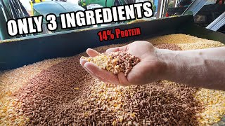 EASY PIG FEED MIX  Only 3 Ingredients 14 Protein [upl. by Jehiah581]